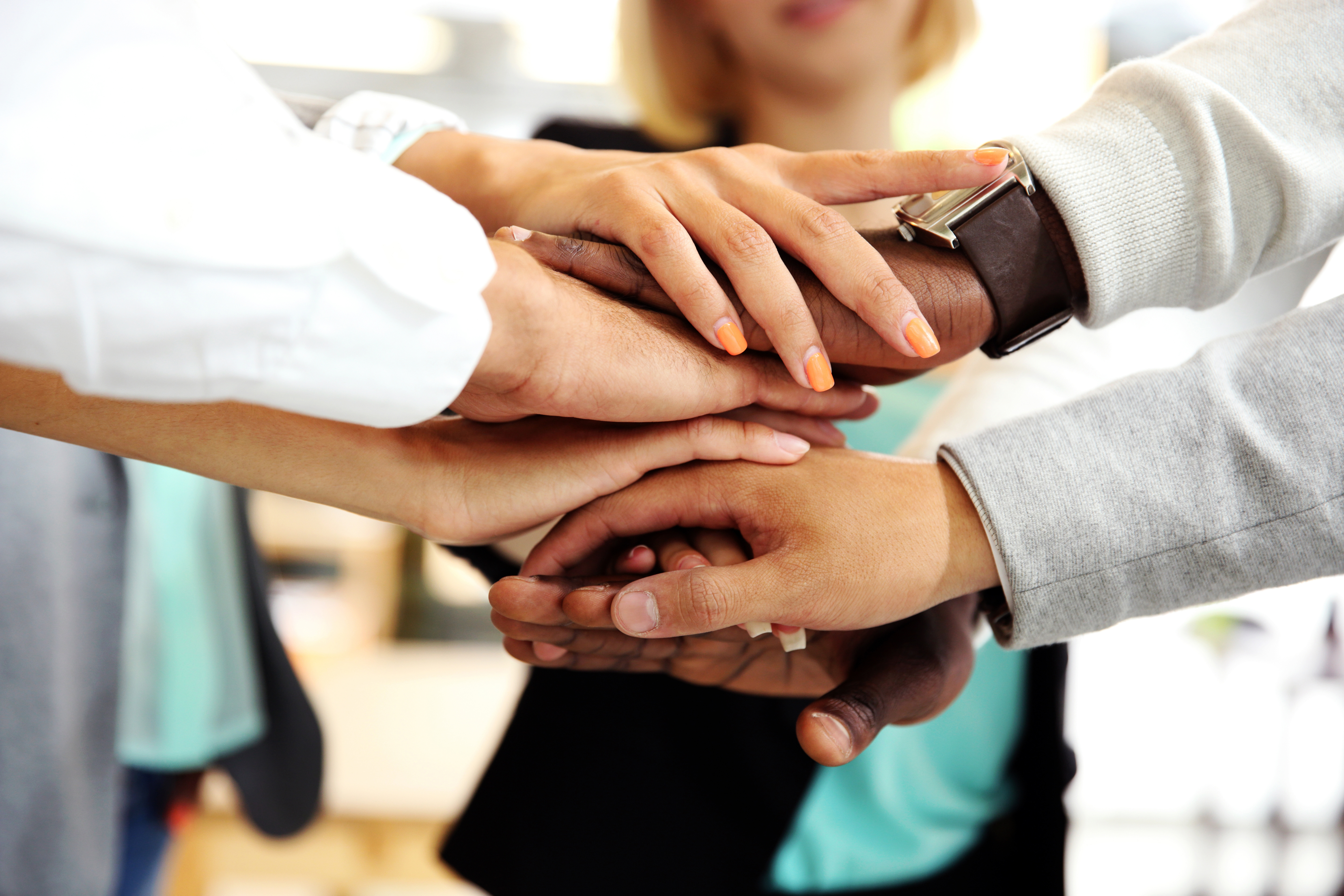 Business partners reviewing documents together